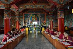 Pokhara Karma Dubgyu Chokhorling Monastery 07 Monks In The Main Prayer Hall With Gilded Shakyamuni Buddha Statue 